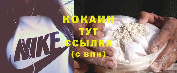 индика Бронницы