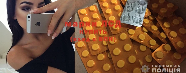 индика Бронницы