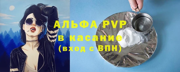 индика Бронницы
