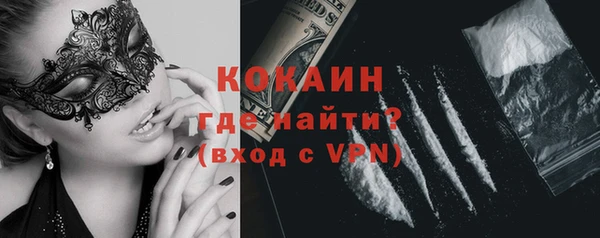 индика Бронницы