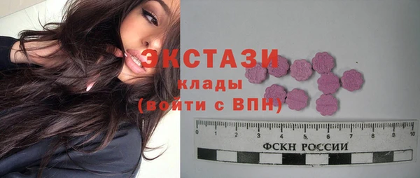 индика Бронницы