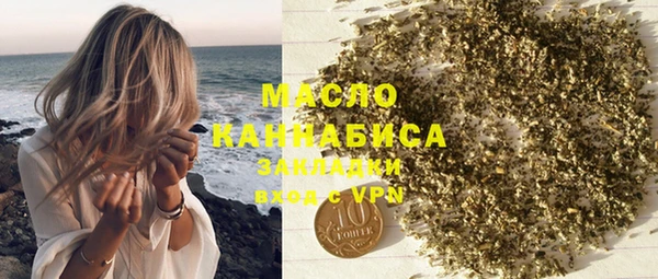 индика Бронницы