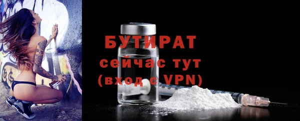 индика Бронницы