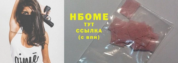 индика Бронницы