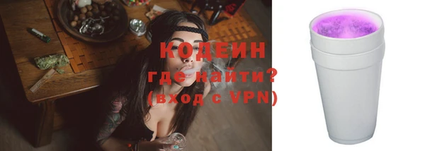 индика Бронницы