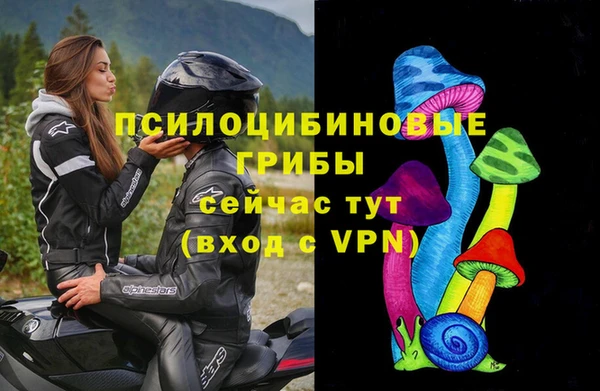 индика Бронницы