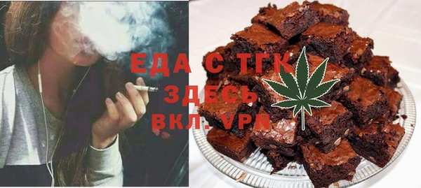 индика Бронницы