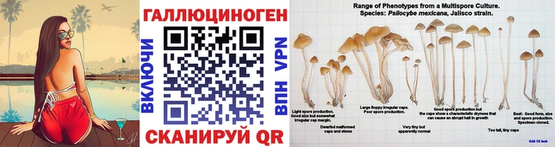 MEGA сайт  Ковдор  Псилоцибиновые грибы мицелий 