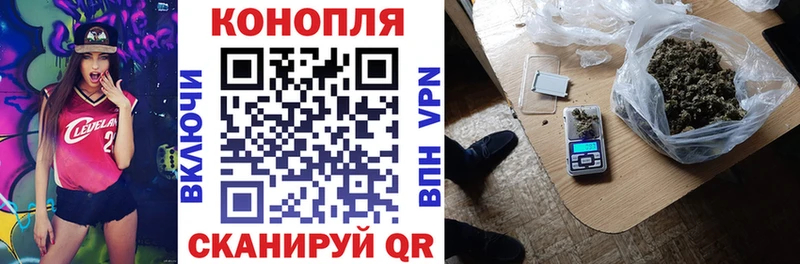 Канабис семена  Ковдор 